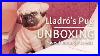 1000 Points On The Cuteness Scale Porcelain Pug Lladr