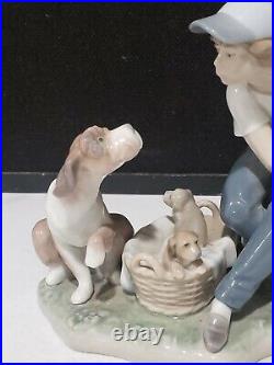 1985 Lladro Porcelain Figurine This One's Mine #5376 Boy with Dog & Puppies