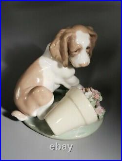 1998 LLADRO Figurine #7672 It Wasn't Me Collectors Society Dog withFlowers / box