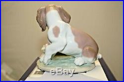 1998 Lladro #7672 IT WASNT ME Collectors Society Porcelain Figurine Dog RETIRED
