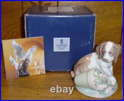 1998 Lladro Collector's Society 07672 Dog Figurine It Wasn't Me 4