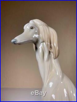 AFGHAN HOUND DOG - LLADRO - Porcelain Retired Figurine #1069