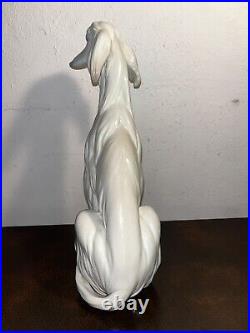 Afghan Hound Dog Retired Perfect Condition Juan Huerta 1977 Nice! Lladro Spain