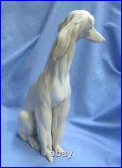 Afghan Hound Lladro 12 Dog Figurine