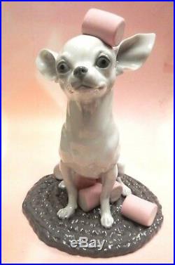 Chihuahua With Marshmallows Dog Porcelain Figurine By Lladro 2015 9191