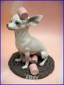 Chihuahua With Marshmallows Dog Porcelain Figurine By Lladro 2015 9191