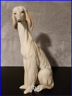 EXQUISITE LLADRO #1069 AFGHAN HOUND SITTING DOWN 11.75 Inch MINT with O. BOX
