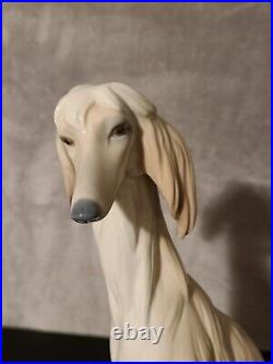 EXQUISITE LLADRO #1069 AFGHAN HOUND SITTING DOWN 11.75 Inch MINT with O. BOX