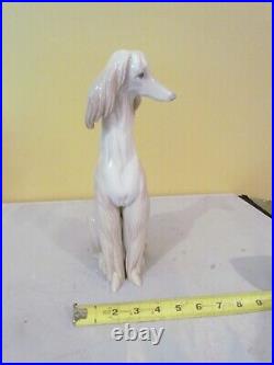EXQUISITE LLADRO #1069 AFGHAN HOUND SITTING DOWN-EXCELLENT/MINT with O. BOX