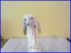 EXQUISITE LLADRO #1069 AFGHAN HOUND SITTING DOWN-EXCELLENT/MINT with O. BOX