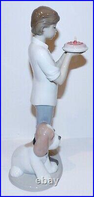 Htf Nao Lladro Porcelain A Birthday Wish #1738 Boy With Cake & Dog 10 Figurine