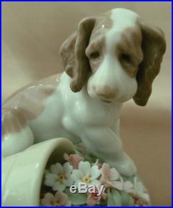 IT WASN'T ME! Dog Puppy Flowers Original Box LLADRO Figurine 7672 MINT RETIRED