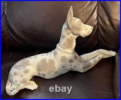 LLADRO 1068 Great Dane Retired! Ear Repaired! No Box! Rare, hard to find