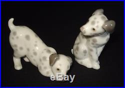 Lladro 2 Dalmatian Dogs Collection Retired Porcelain Figurines # 1260-61 Mint