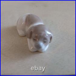 LLADRO #5311 MINI PUPPIES DOGS MINT CONDITION withBox FAST SHIPPING