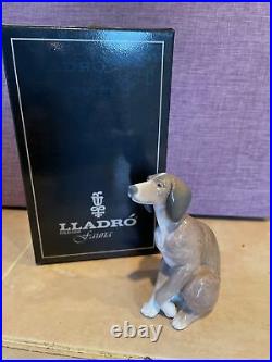 LLADRO #5356 Wolf Hound light brown Figurine dog sitting retired in box