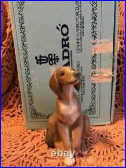 LLADRO 5356 Wolfhound Mint! Blue Lladro Box! Rare! Retired 27 years ago! L@@K