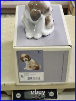 LLADRO #6210 B 7940 LABEL GENTLE SURPRISE GLOSSY PORCELAIN FIGURINE with BOX