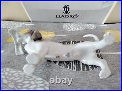 LLADRO 6398'Morning Delivery' Bassett Dog with Newspaper Mint Boxed/ Paperwork