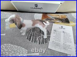 LLADRO 6398'Morning Delivery' Bassett Dog with Newspaper Mint Boxed/ Paperwork