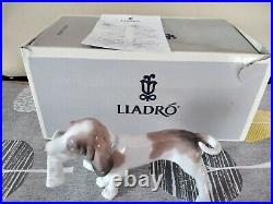 LLADRO 6398'Morning Delivery' Bassett Dog with Newspaper Mint Boxed/ Paperwork