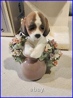 LLADRO 6574 Take Me Home, Puppy with Flowers, NICE