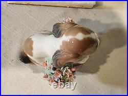 LLADRO 6574 Take Me Home, Puppy with Flowers, NICE