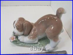 LLADRO 6832 A Sweet Smell DOG With FLOWER DAISA 2001 HTF With BOX MINT