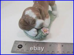 LLADRO 6832 A Sweet Smell DOG With FLOWER DAISA 2001 HTF With BOX MINT