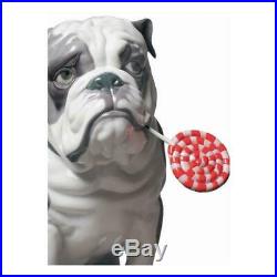 LLADRO 9234 Bulldog with Lollipop Dog Figurine 01009234