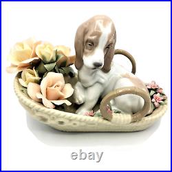 LLADRÓ BASSET AND BLOOM basset hound in the flower basket L 6934 Brand New