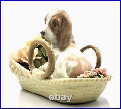 LLADRÓ BASSET AND BLOOM basset hound in the flower basket L 6934 Brand New