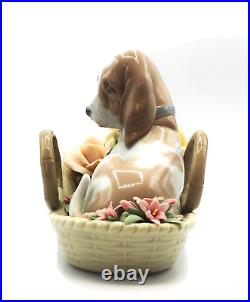 LLADRÓ BASSET AND BLOOM basset hound in the flower basket L 6934 Brand New