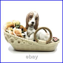 LLADRÓ BASSET AND BLOOM basset hound in the flower basket L 6934 Brand New
