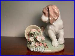 LLADRO Collectors Series #7672 It Wasn't Me Dog/Spaniel Flowerpot, RV $585 MINT