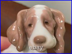 LLADRO Collectors Series #7672 It Wasn't Me Dog/Spaniel Flowerpot, RV $585 MINT