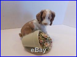 LLADRO Collectors Series7672 Travesura It Wasn't Me Dog Flowerpot with Box EUC