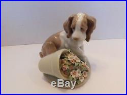 LLADRO Collectors Series7672 Travesura It Wasn't Me Dog Flowerpot with Box EUC