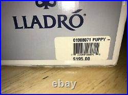 LLADRO FIGURINE 010.08071 PUPPY NATURAL FRAMES MINT & Box 8071 2004 dog wreath