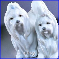 LLADRO Maltese Looking Good Figurine Statue Dogs Jose Luis Alvarez 6688 Spain