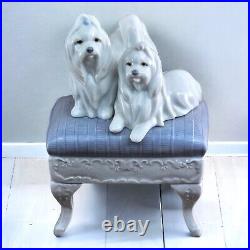 LLADRO Maltese Looking Good Figurine Statue Dogs Jose Luis Alvarez 6688 Spain