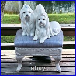 LLADRO Maltese Looking Good Figurine Statue Dogs Jose Luis Alvarez 6688 Spain