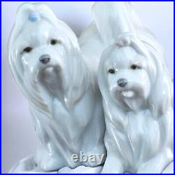 LLADRO Maltese Looking Good Figurine Statue Dogs Jose Luis Alvarez 6688 Spain