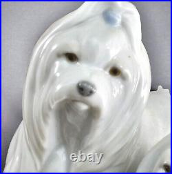 LLADRO Maltese Looking Good Figurine Statue Dogs Jose Luis Alvarez 6688 Spain