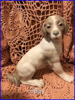 LLADRO NAO 57 Dog, Sitting Dog Retired! Mint Condition! No Box! Great Gift! L@@K
