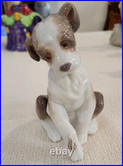 LLADRO New Friend Dog withSnail #6211