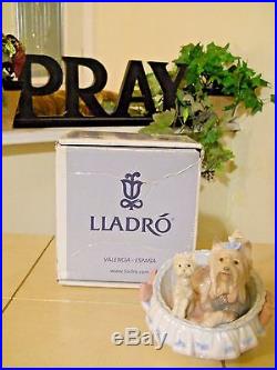 LLADRO OUR COZY HOME # 6469 YORKSHIRES DOGS YORKIE PUPPY MINT withBOX FAST SHIP