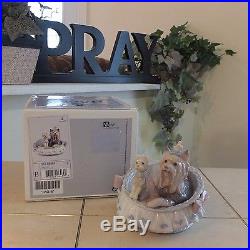 LLADRO OUR COZY HOME # 6469 YORKSHIRES DOGS YORKIE PUPPY MINT withBOX FAST SHIP