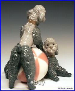 LLADRO PLAYING POODLES #1258 TWO DOGS with BALL FREE SHIPPING $845 MIB
