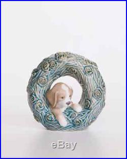 LLADRO PUPPY NATURAL FRAMES BRAND NEW IN BOX 8071 MSRP $195 Dog Cute RARE